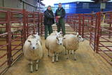 Overall Champion pen was won by the Beltex or Beltex Cross pen of Jake Stoddart from West Micklewaite, Wigton. pictured with judge Darren Gardiner